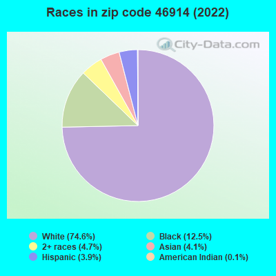 Races in zip code 46914 (2022)