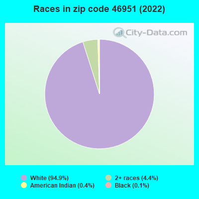 Races in zip code 46951 (2022)