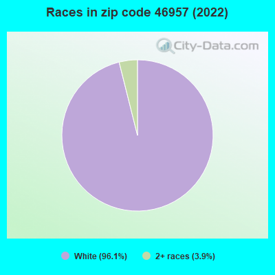 Races in zip code 46957 (2022)