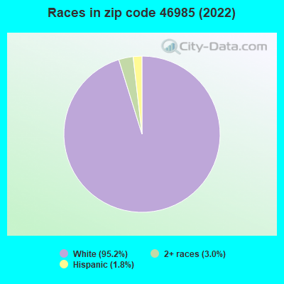 Races in zip code 46985 (2022)