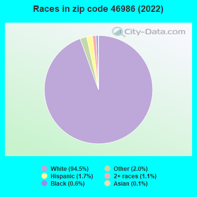 Races in zip code 46986 (2022)