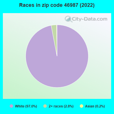 Races in zip code 46987 (2022)