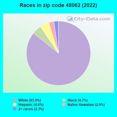 Races in zip code 48062 (2022)