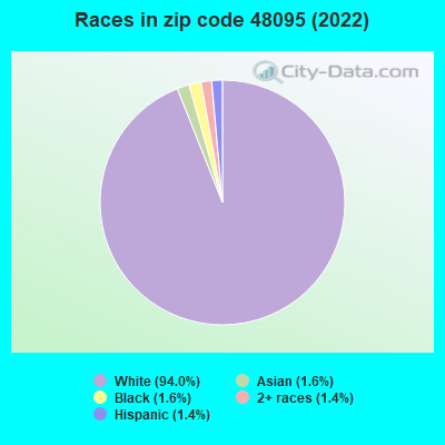 Races in zip code 48095 (2022)