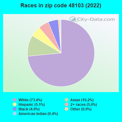 Races in zip code 48103 (2022)