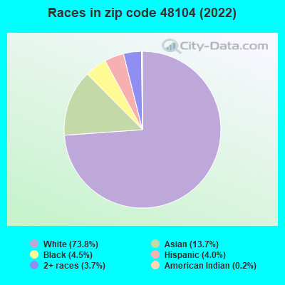 Races in zip code 48104 (2022)