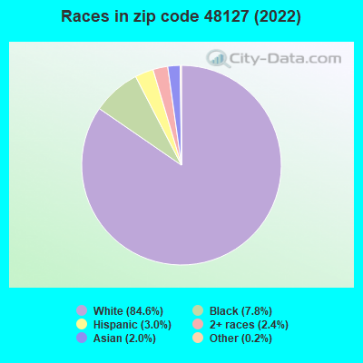 Races in zip code 48127 (2022)