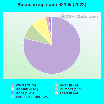 Races in zip code 48165 (2022)