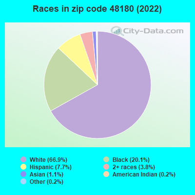 Races in zip code 48180 (2022)