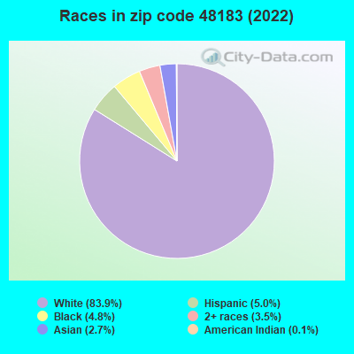Races in zip code 48183 (2022)