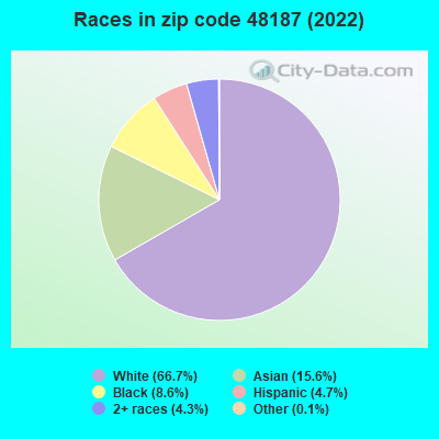 Races in zip code 48187 (2022)