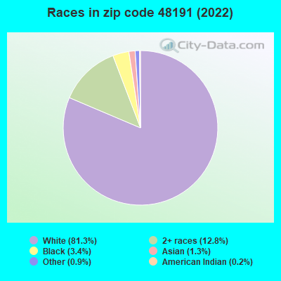 Races in zip code 48191 (2022)