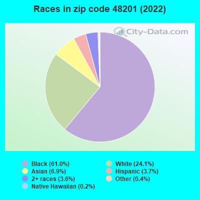 Races in zip code 48201 (2022)