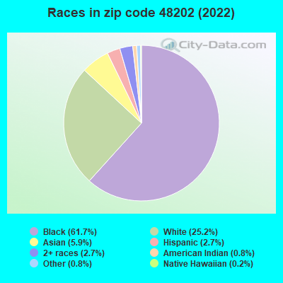 Races in zip code 48202 (2022)