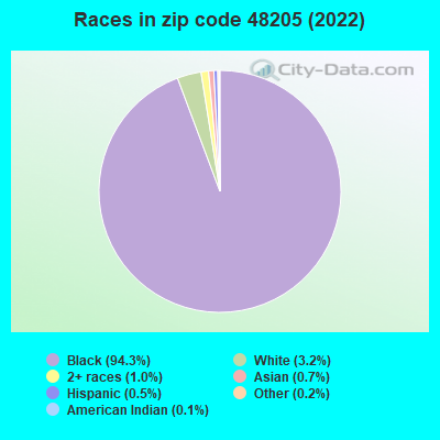 Races in zip code 48205 (2022)