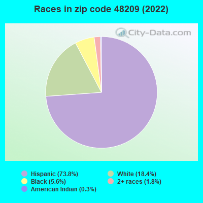 Races in zip code 48209 (2022)
