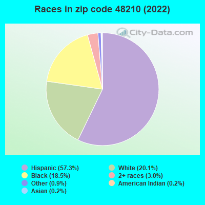 Races in zip code 48210 (2022)