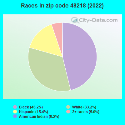 Races in zip code 48218 (2022)