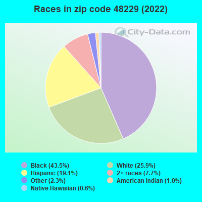 Races in zip code 48229 (2022)