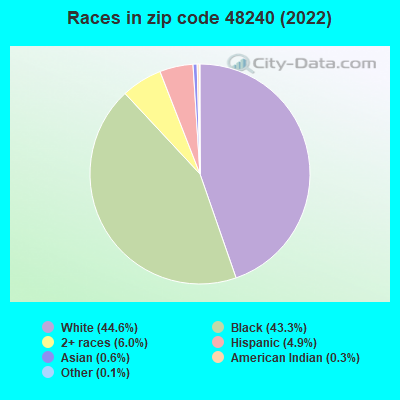 Races in zip code 48240 (2022)