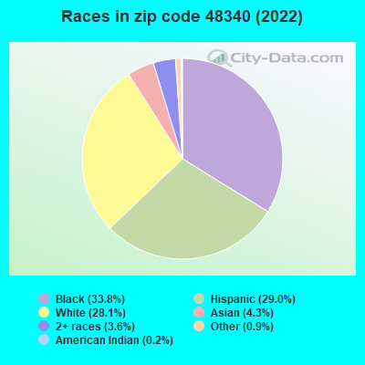 Races in zip code 48340 (2022)