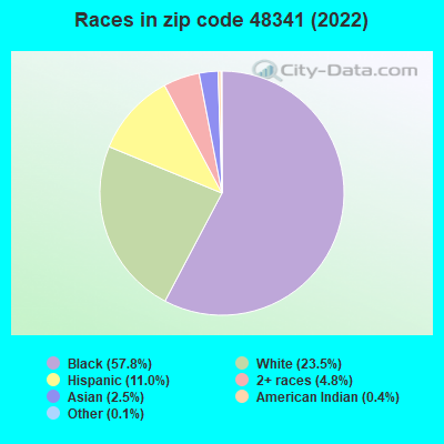 Races in zip code 48341 (2022)