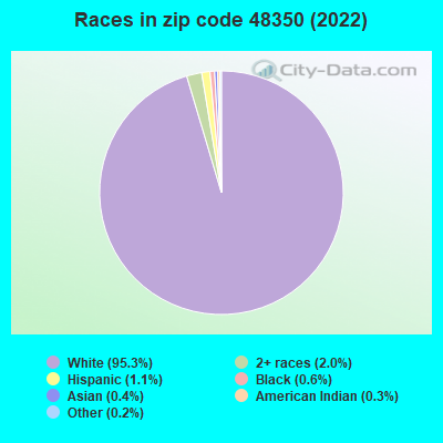 Races in zip code 48350 (2022)