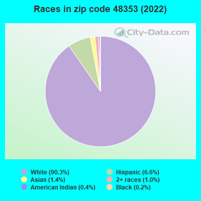 Races in zip code 48353 (2022)