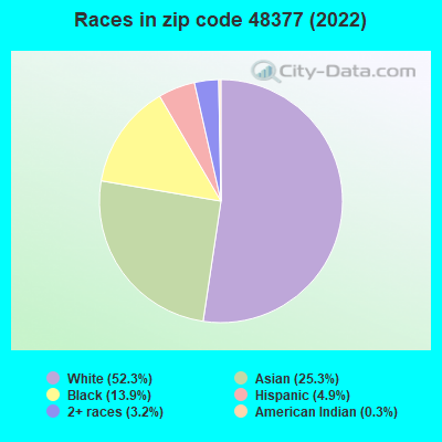 Races in zip code 48377 (2022)