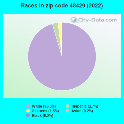 Races in zip code 48429 (2022)