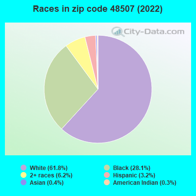 Races in zip code 48507 (2022)