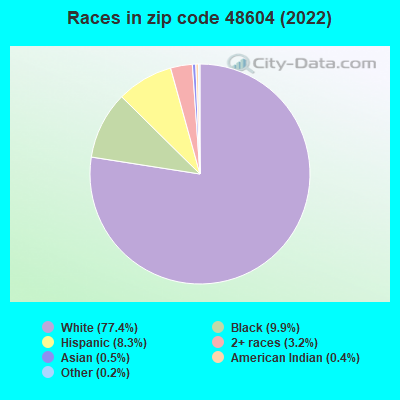 Races in zip code 48604 (2022)