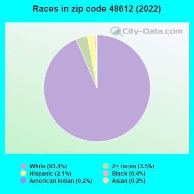 Races in zip code 48612 (2022)