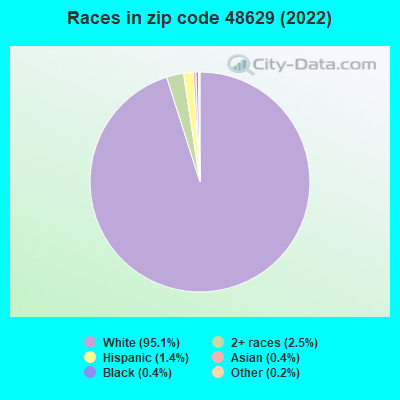 Races in zip code 48629 (2022)