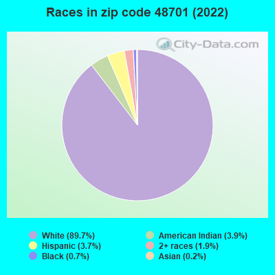 Races in zip code 48701 (2022)