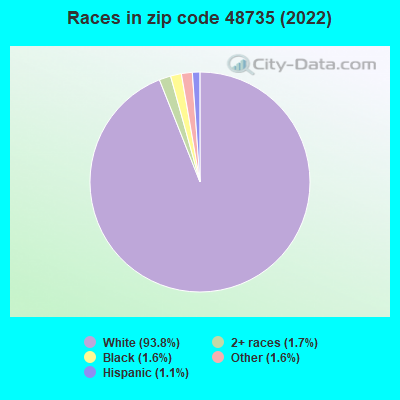 Races in zip code 48735 (2022)