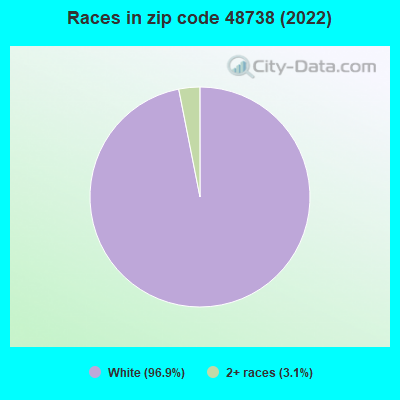 Races in zip code 48738 (2022)