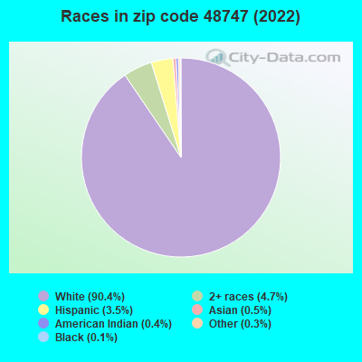Races in zip code 48747 (2022)