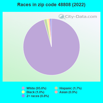 Races in zip code 48808 (2022)
