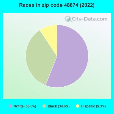 Races in zip code 48874 (2022)