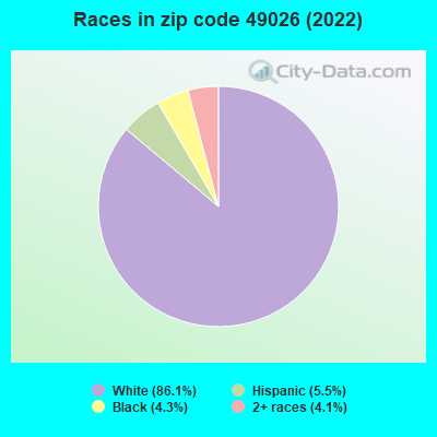 Races in zip code 49026 (2022)