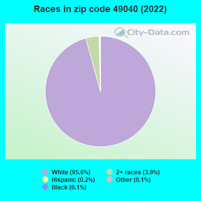 Races in zip code 49040 (2022)