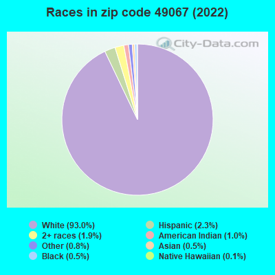 Races in zip code 49067 (2022)