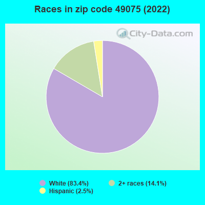 Races in zip code 49075 (2022)