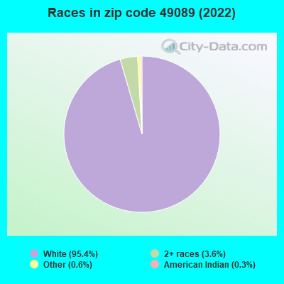 Races in zip code 49089 (2022)