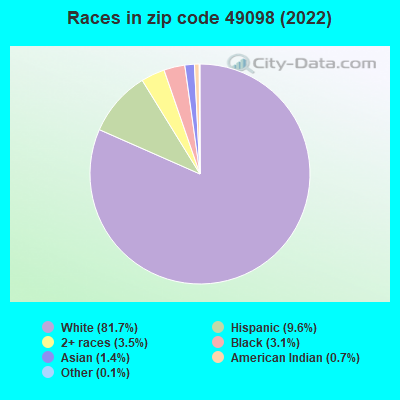 Races in zip code 49098 (2022)