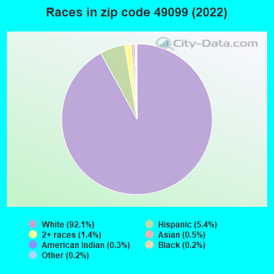 Races in zip code 49099 (2022)