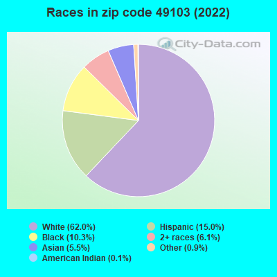 Races in zip code 49103 (2022)