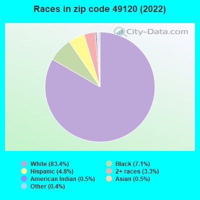 Races in zip code 49120 (2022)