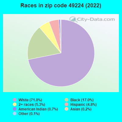 Races in zip code 49224 (2022)
